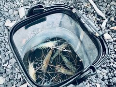 -DGE季风钓虾营地·团建·聚会