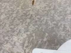 -腰记饭店(龙源路店)
