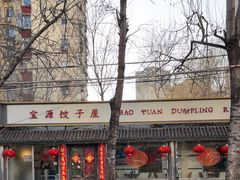 -宝源饺子(麦子店街店)