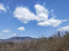 -黄金寨原生态旅游区