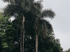 -广州市白云山风景名胜区