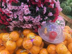 -百果园(嘉业阳光城店)