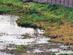 -溪口-滕头旅游景区