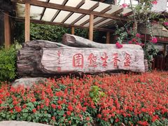 -盈香心动乐园