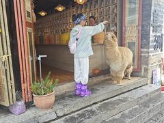 -正宗李家土鸡米线店