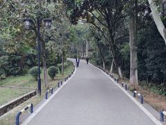 -青龙山国家森林公园