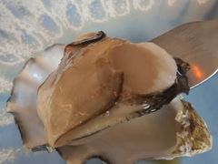 -斯普汇生蚝牛排馆(中骏世界城店)