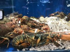 -蚝得喜海鲜(东城店)