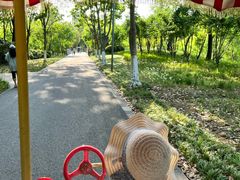 -昆山城市生态森林公园