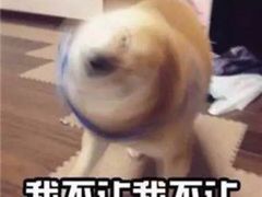 -佰人王串串香火锅(洋珠巷店)