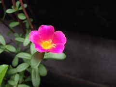 iphone_upload_pic-龙井壹号·茶缘山景宴(龙井村店)