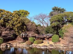-东京国立博物馆