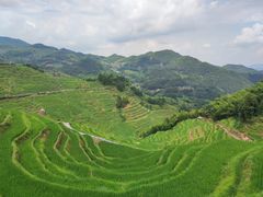 -紫鹊界梯田景区
