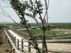 -小洋口旅游度假区
