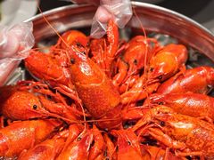 -龙巢盱眙龙虾·牛蛙·烧烤宵夜(八卦岭店)