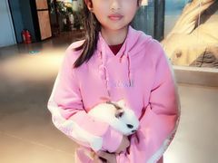 -昆明大悦城未来动物城(螺蛳湾中心店)