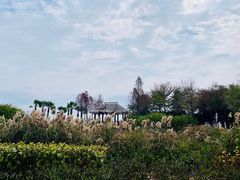 -厦门园林博览苑