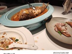 -阿五黄河大鲤鱼(英协路店)