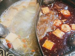 -廉恭蜀老成都火锅(善国大桥店)