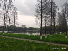 -圩墩遗址公园