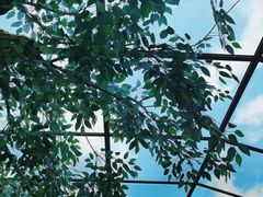 -清水湾温泉生活馆(南直路店)