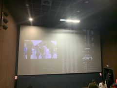 -SFC上影影城(港汇永华IMAX激光店)
