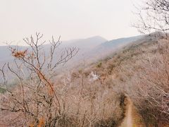 -香山公园