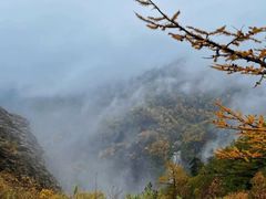 -朱雀国家森林公园