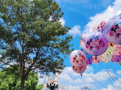 -上海迪士尼度假区