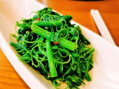 -丹江渔村(望京店)