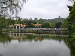 -鹿鸣酒家(越秀店)