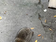 -常州淹城野生动物世界