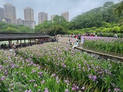 -龙头寺公园