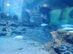 -厦门海底世界