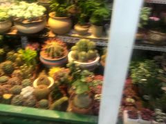 -三旗百汇商品城