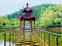 -潜山国家森林公园