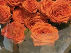 -UME影城(西城广场店)