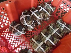 -小陆莲花蟹园农家乐(莲花岛店)