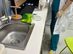 -美美宠物诊疗中心·异宠·骨科(滨江东信分院)