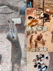 -欢乐舟·舟舟玩乐园