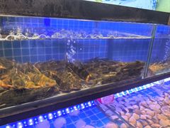 -透明思烤·自助烤肉海鲜火锅(东部星悦天地店)