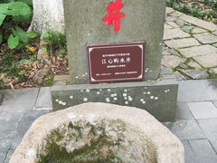 -江心屿景区