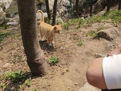 -崂山巨峰游览区