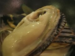 -植物园哈利亚餐厅