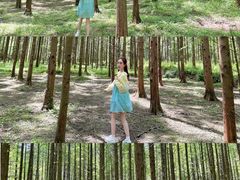 -小格里自然风景区