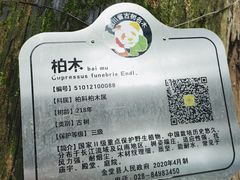 -金堂县云顶石城风景区