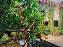 -小洲村