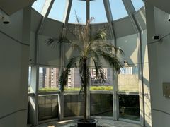 -上海明天广场JW万豪酒店