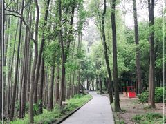 -东湖落雁景区
