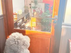 -沏点Trattoria意大利餐厅(新街口店)